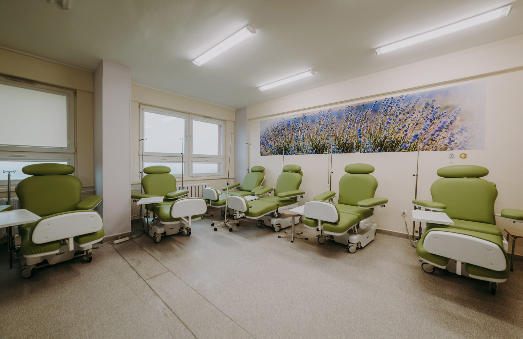 Sala dziennej chemioterapii, duże zielone fotele, na ścianie fototapeta z kwiatami