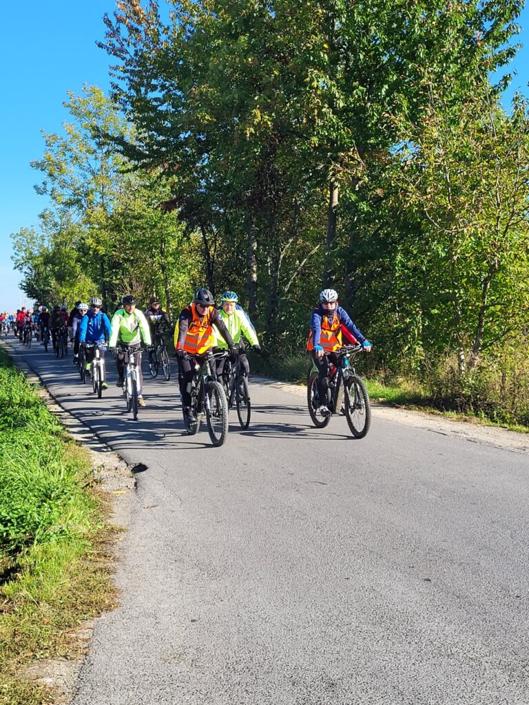 rowerzyści jadą drogą asfaltową, w tle drzewa